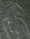 Bas relief représentant Mehyt, datant du règne de Ptolémée II